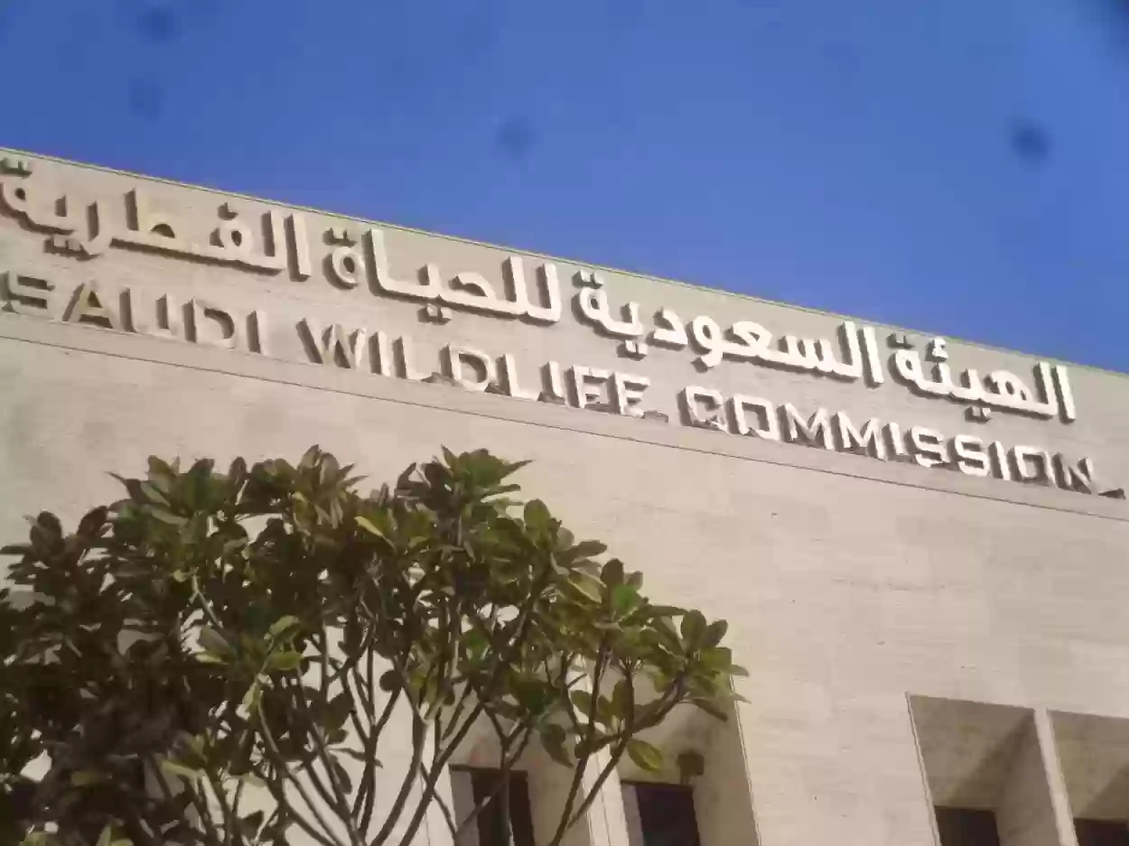 مراكز أبحاث الهيئة السعودية للحياة الفطرية