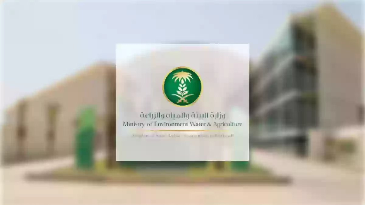  ماجد بن عبد الله الخليف يكلف نائبةً لمدير مكتب وزارة البيئة في محافظة جدة