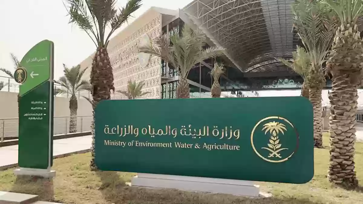 دعم ريف يوضح الوقت المتبقي لموعد إيداع دعم شهر ديسمبر