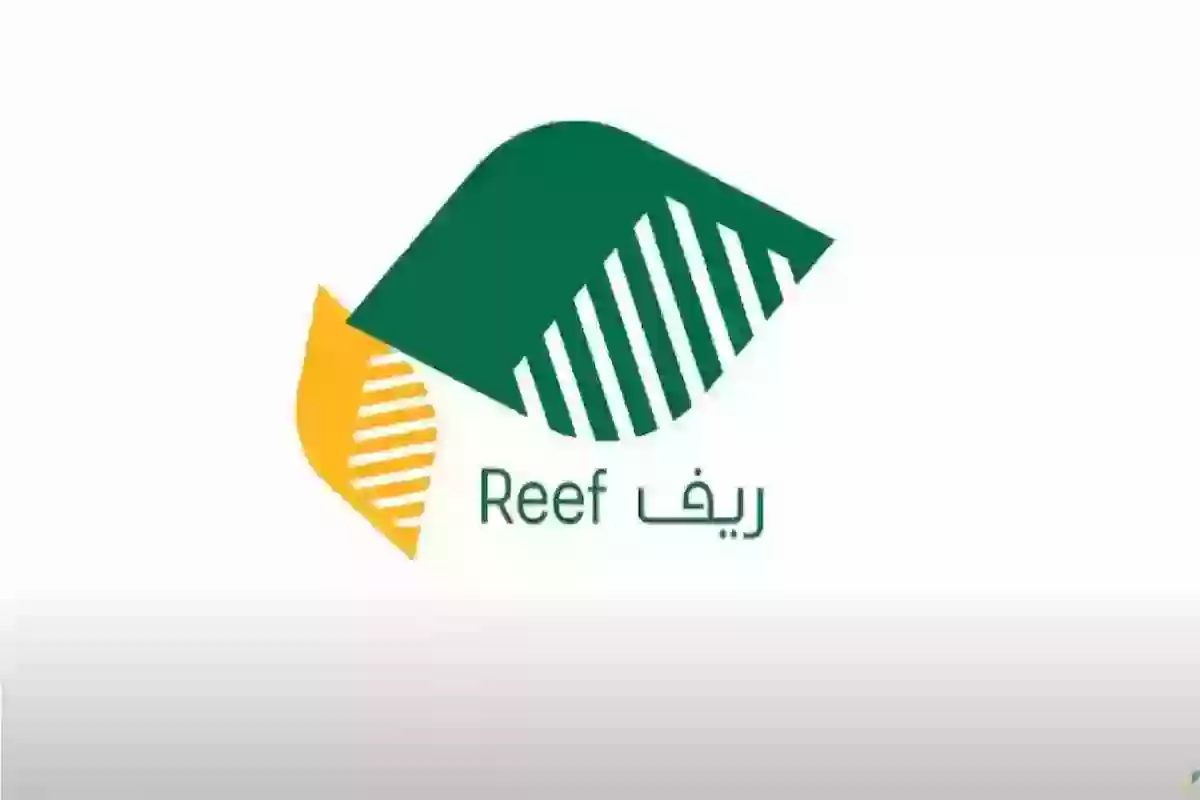 شروط ريف ومبلغ الدعم المستحق والمشاريع المدعومة